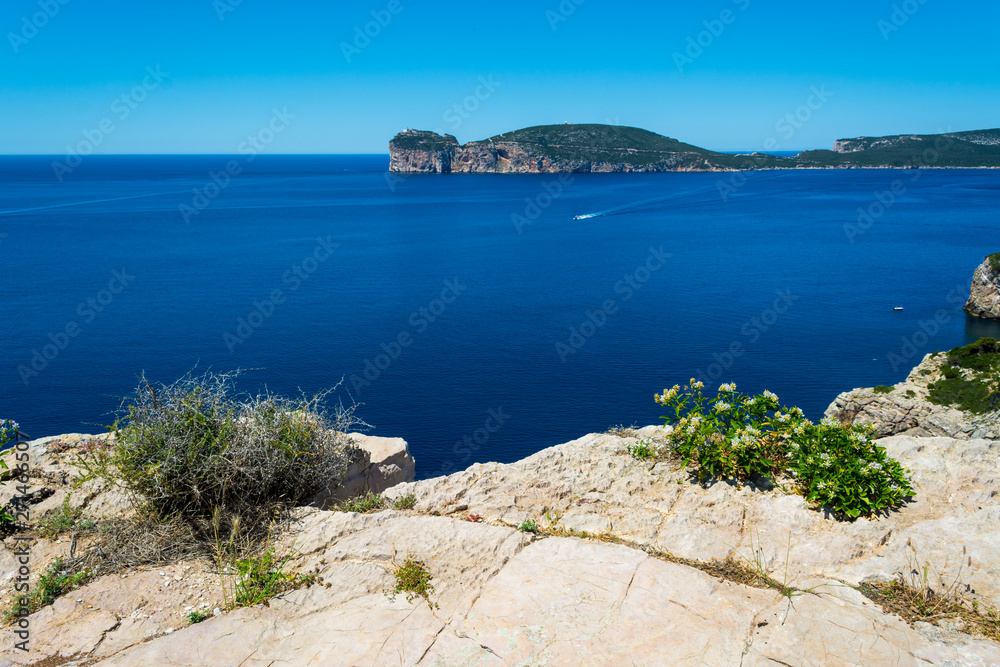 Landscape of the coast of Capo Caccia, in Sardinia
