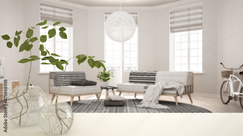 Fototapeta premium White table top or shelf with glass vase with hydroponic plant, ornament, root of plant in water, branch in vase, house plant, modern blurred living room background, interior design