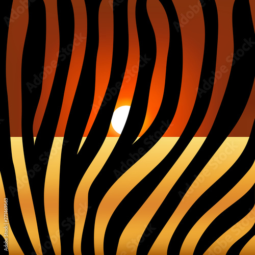 zebra print on the background of the sunset sun, animal skin, black and white stripes, vector