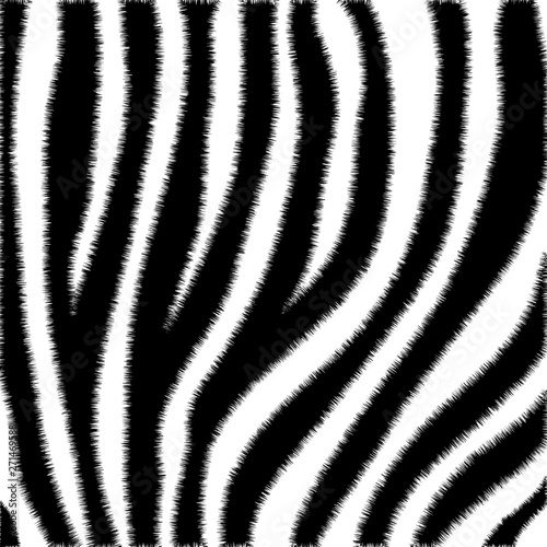 furry zebra print, animal skin, wool, black and white stripes, vector
