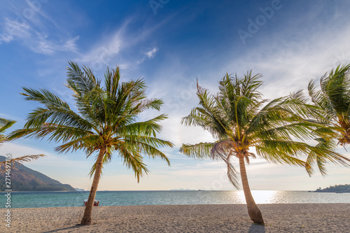 Coconut Palm trees on white sandy beach and blue sky in south of Thailand
