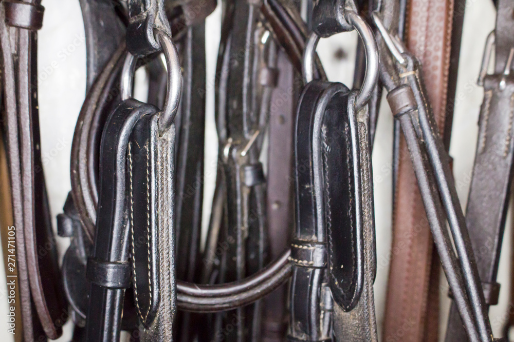 Metal martingale rings with attached belts on the background of different leather harness Metal martingale rings with attached belts on the background of different leather harness