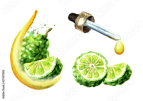 Bergamot fruit and essential oil set, Spa and aromatherapy. Watercolor hand drawn illustration,  isolated on white background