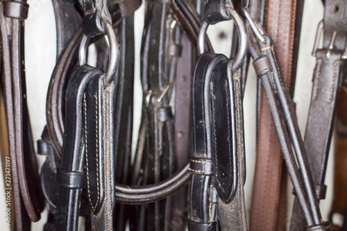 Metal martingale rings with attached belts on the background of different leather harness