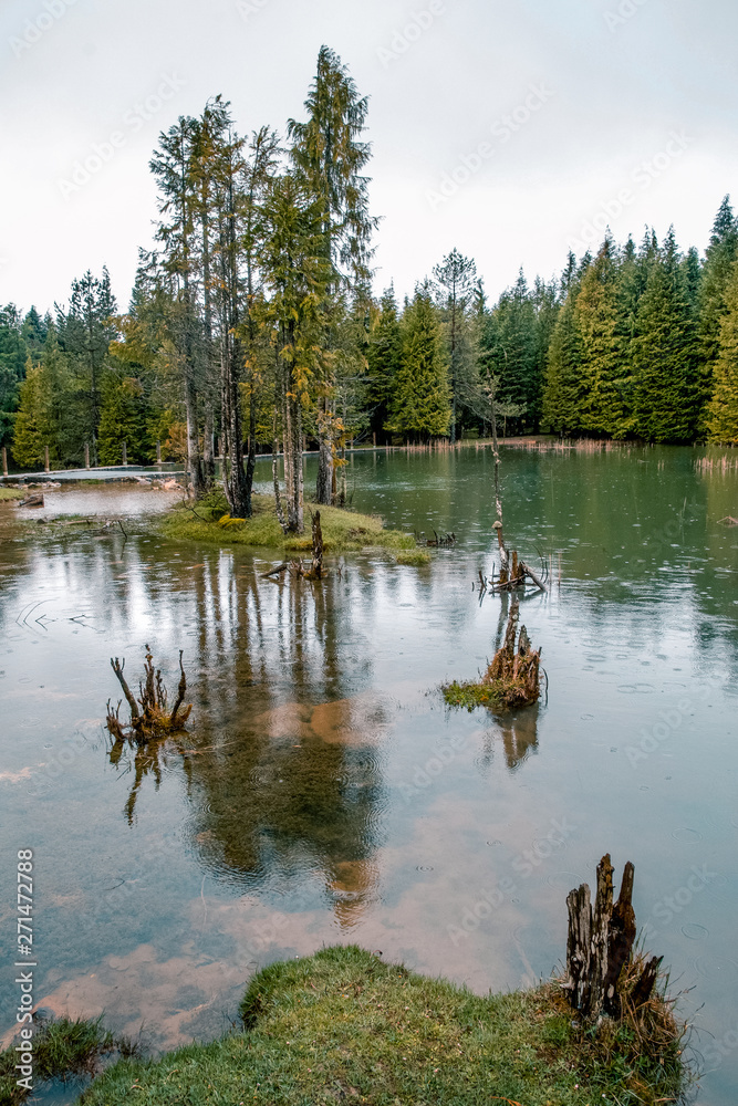 Fototapeta premium Beautiful forest in a small lake in Opakua, Basque Country, Spain