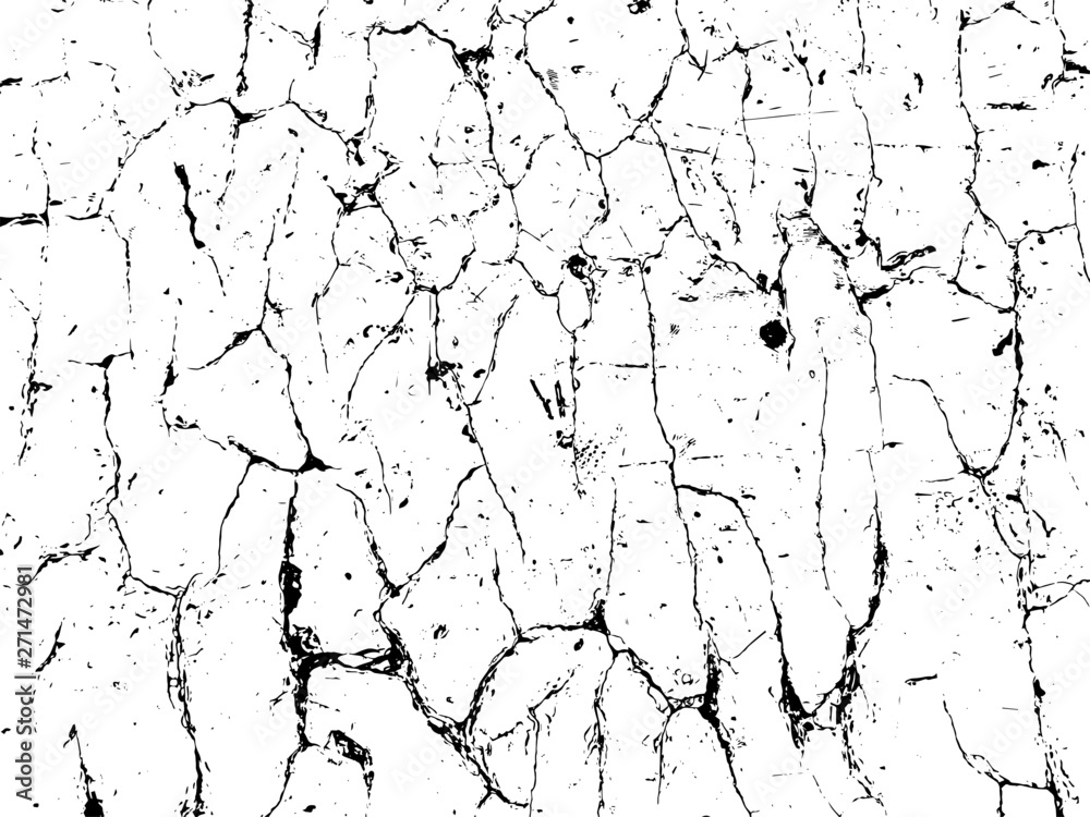 Vector crack texture. Grunge crash scratch. Isolated broken old damage rust. Overlay noise and grain dry texture.