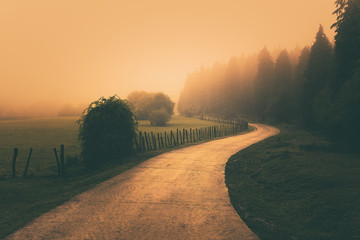 vintage nature landscape with a foggy path