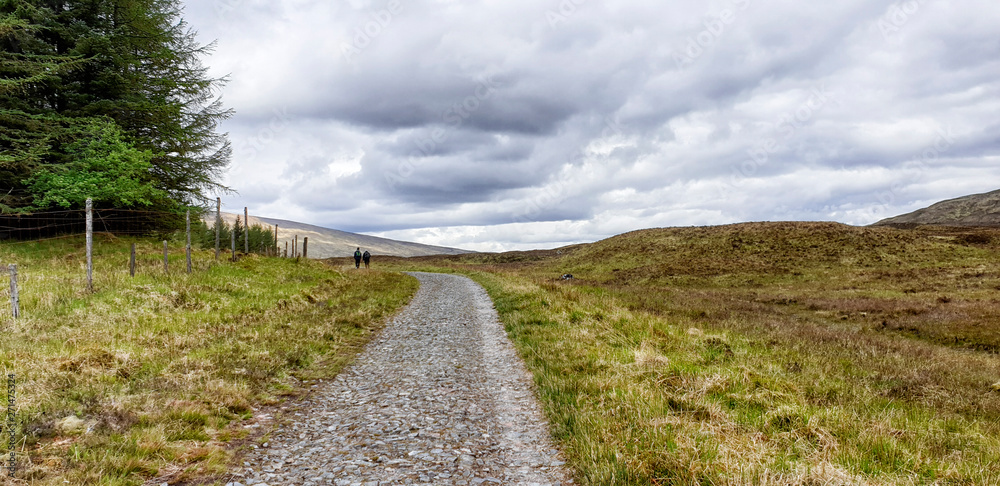 West Hiland Way Track, landscape between Bridge of Orchy and Kingshouse, long distance hike - Scotland, UK