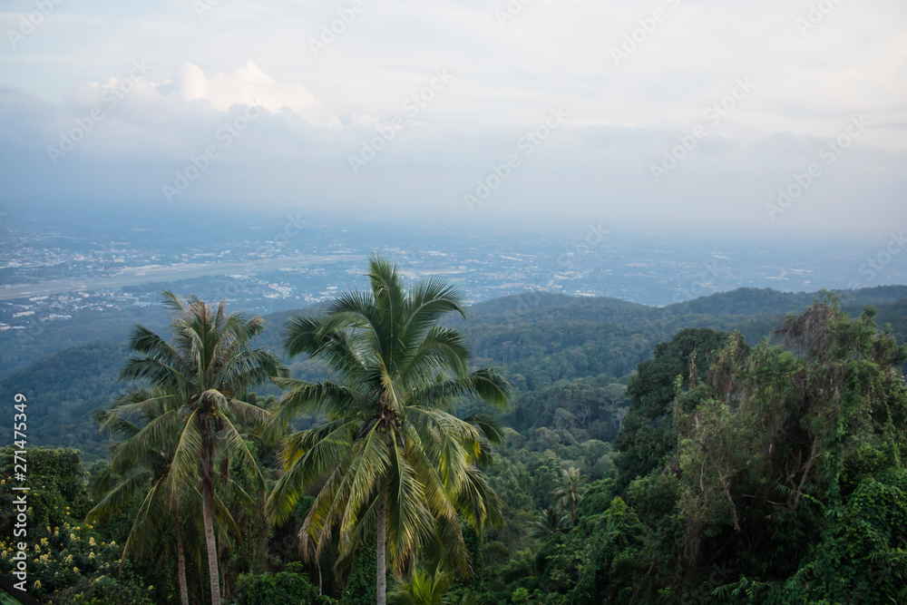 Beautiful tropical landscape with palm trees, seen from Doi Suthep viewpoint. From Chiang Mai, Thailand.