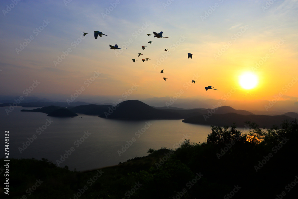 One group of macaw parrots flew in the morning during the sunrise.