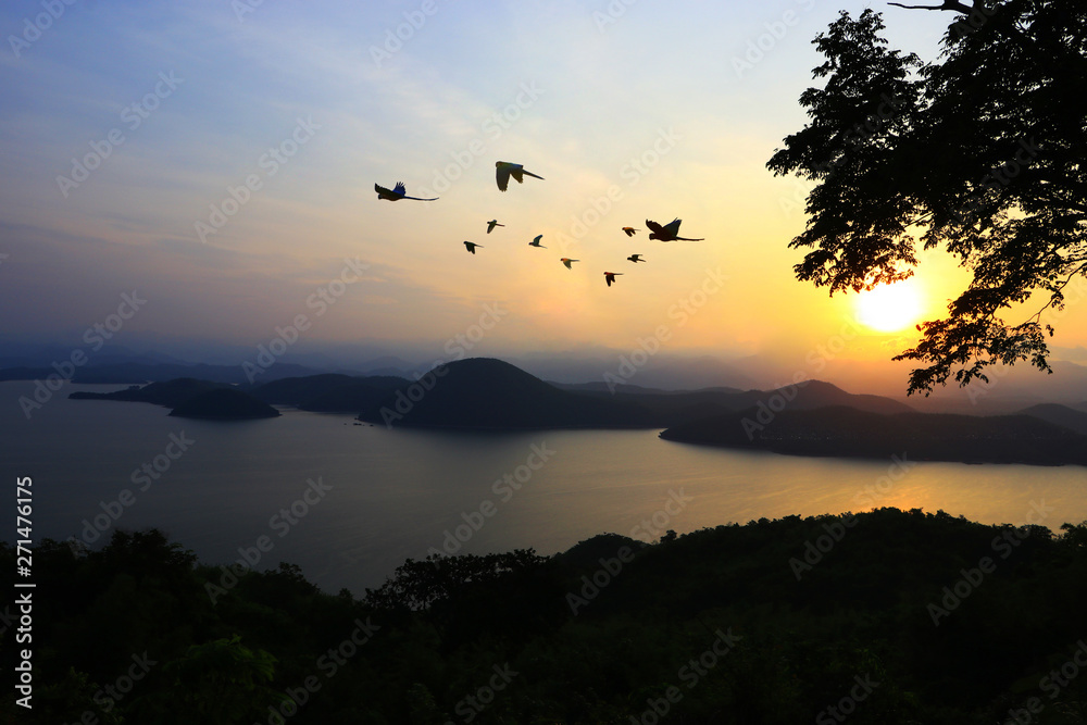 Macaw parrots and many parrots fly beautifully in groups.