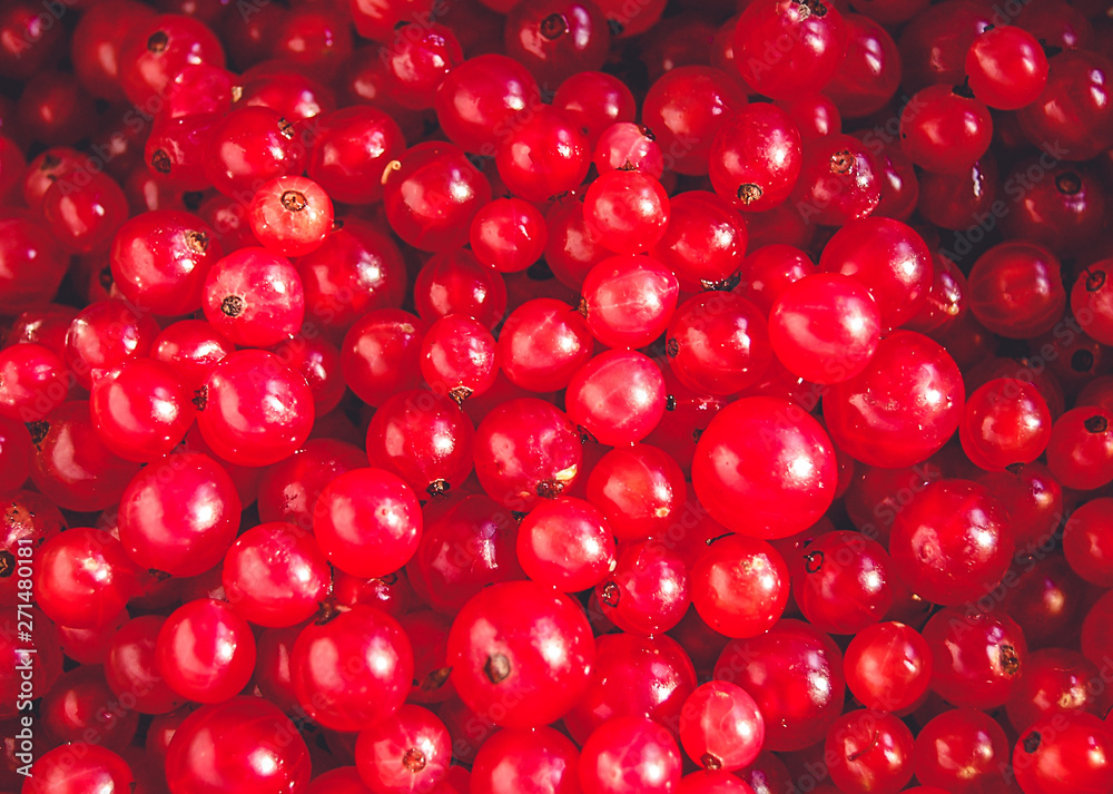 Macro photo of red currant berries background. Macro photo of red currant berries background.