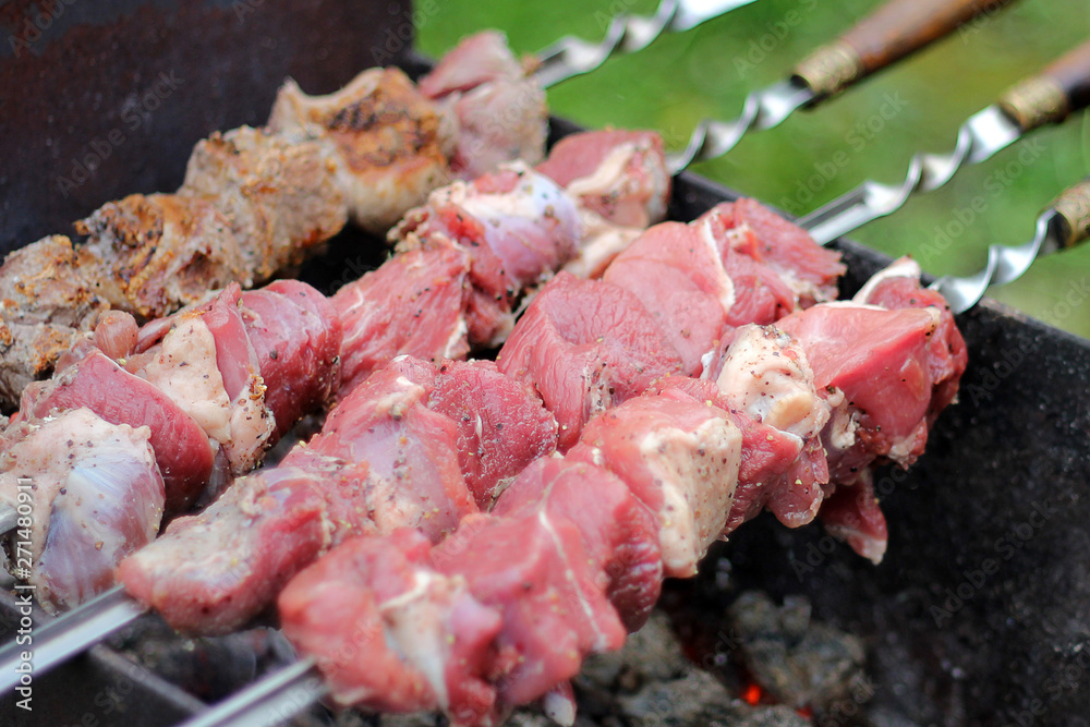 meat on skewers roasted over the coals.picnic in nature. preparation of a shish kebab.