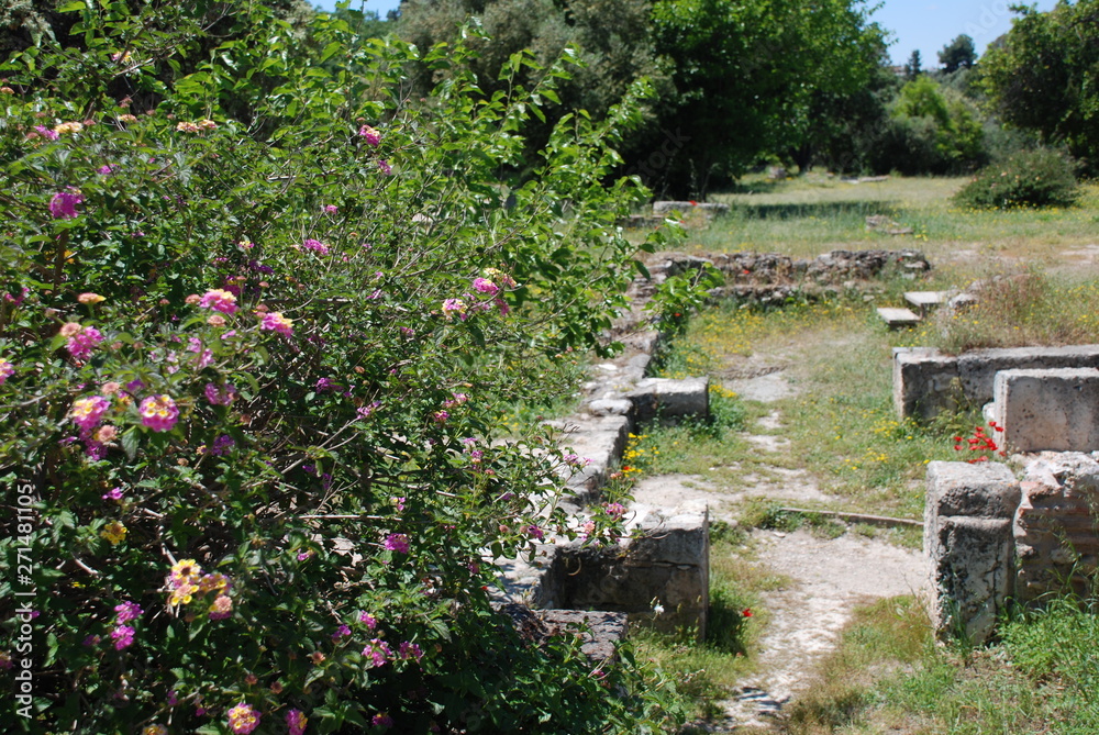 Athens, Greece / May 2019: Flowers at the archaeological site of the Ancient Agora of Athens.