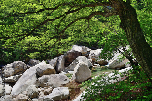 North Korea. Diamond mountains. Mt.Kumgang photo