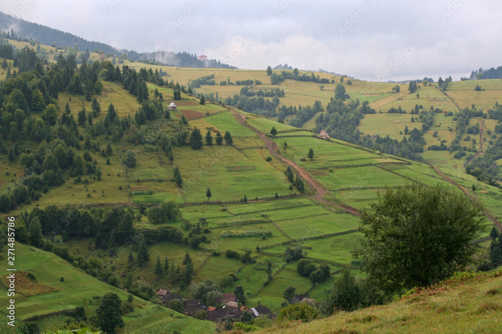 Summer green mountain slopes in the Carpathians Summer green mountain slopes in the Carpathians