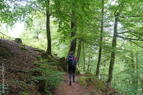 Felsenwanderweg Rodalben