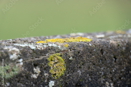 Steinmauer mit Flechten