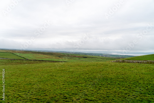 Irische Wiese mit Meer im Hintergrund