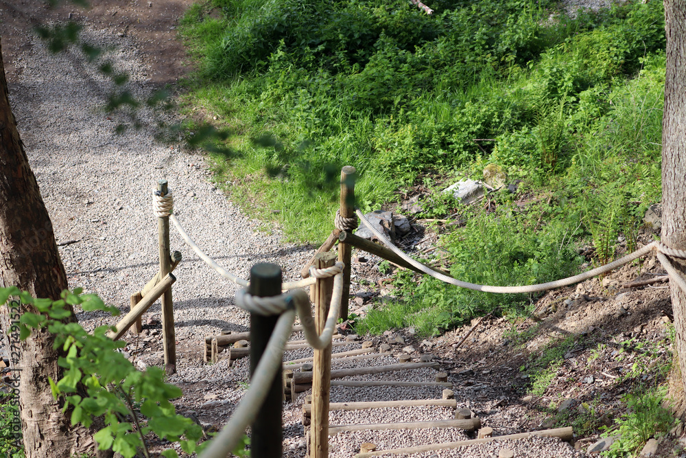 Des escaliers dans la forêt Des escaliers dans la forêt