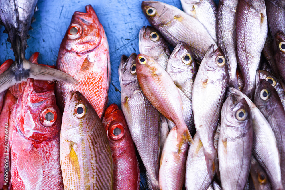 Fish market in Asia. Catching sea and ocean animals in the Indian Ocean. Tuna on shelves for sale. Exotic background Fish market in Asia. Catching sea and ocean animals in the Indian Ocean. Tuna on shelves for sale. Exotic background