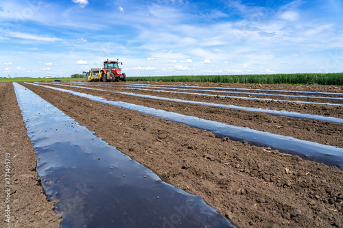 Tractor in a Field Laying Plastic Mulch Bed for Vegetable Production © RGtimeline