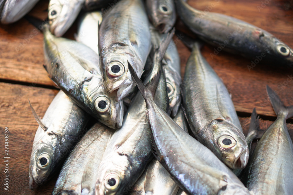 Obraz premium Fish market in Asia. Catching sea and ocean animals in the Indian Ocean. Tuna on shelves for sale. Exotic background