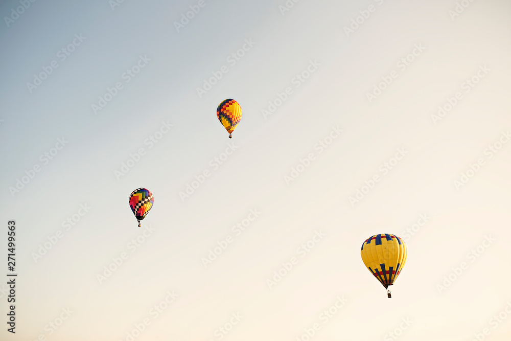 Obraz premium Hot Air Balloon Festival