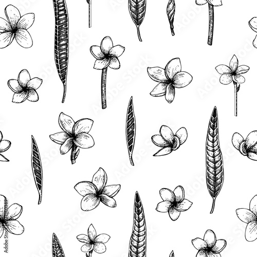 Vector seamless pattern with tropical flowers