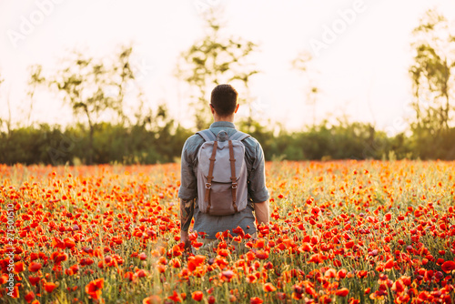 Traveler man walking in red poppy flower meadow.