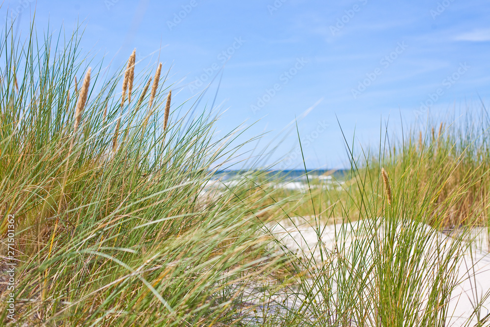 Fototapeta premium baltic sea dunes beautiful landscape