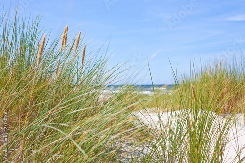 baltic sea dunes beautiful landscape