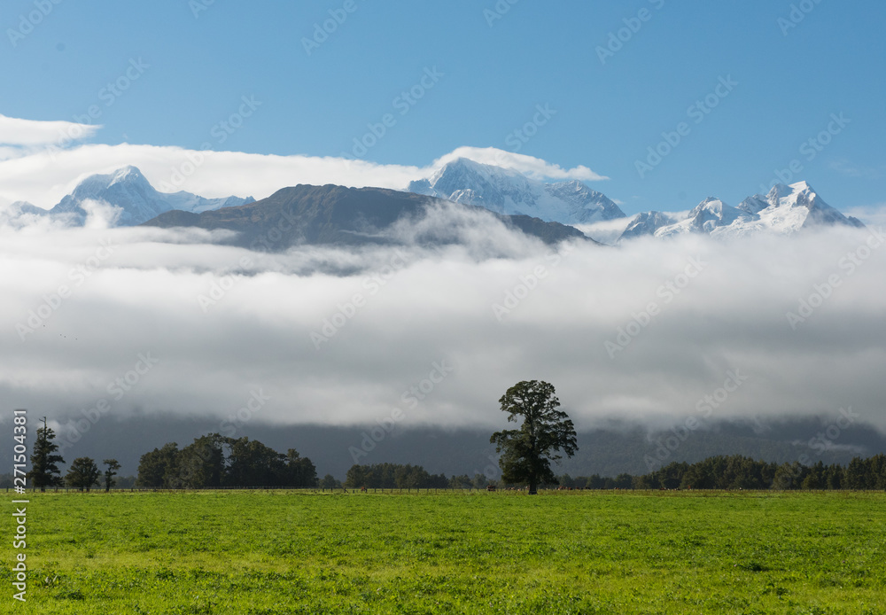 View of Mount Cook in the Mist