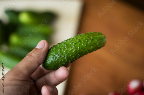 vegetarian hand holds a small fresh cucumber