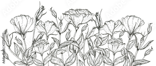 Wallpaper Mural Decorative graphics border. Hand-drawn prairie gentian (lisianthus) flowers and leaves. Black and white frame for postcard, web design or post in social networks. Design template. Torontodigital.ca