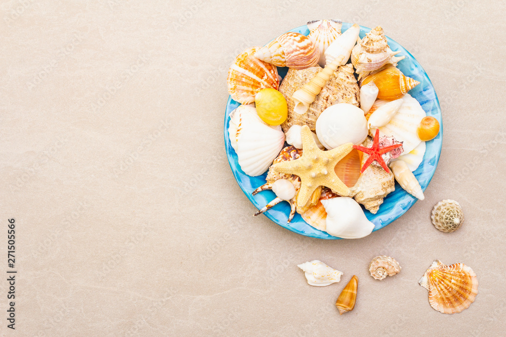 Seashells summer background