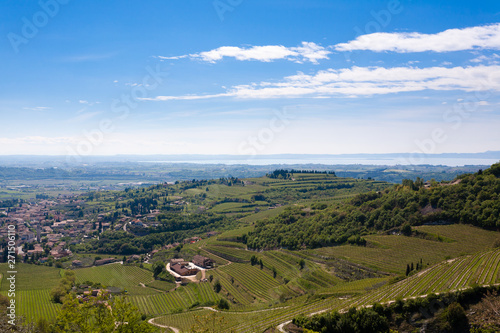 Valpolicella hills landscape  Italian viticulture area  Italy