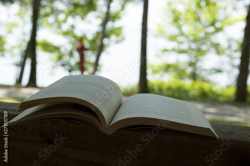 The John Boyne Zirvenin Dibindeki Cocuk book on the wooden table in the garden for reading time.