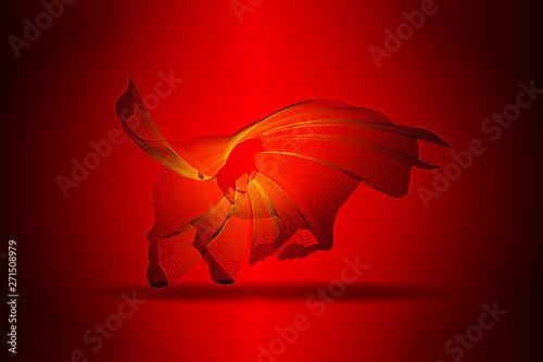 Toro Puntos