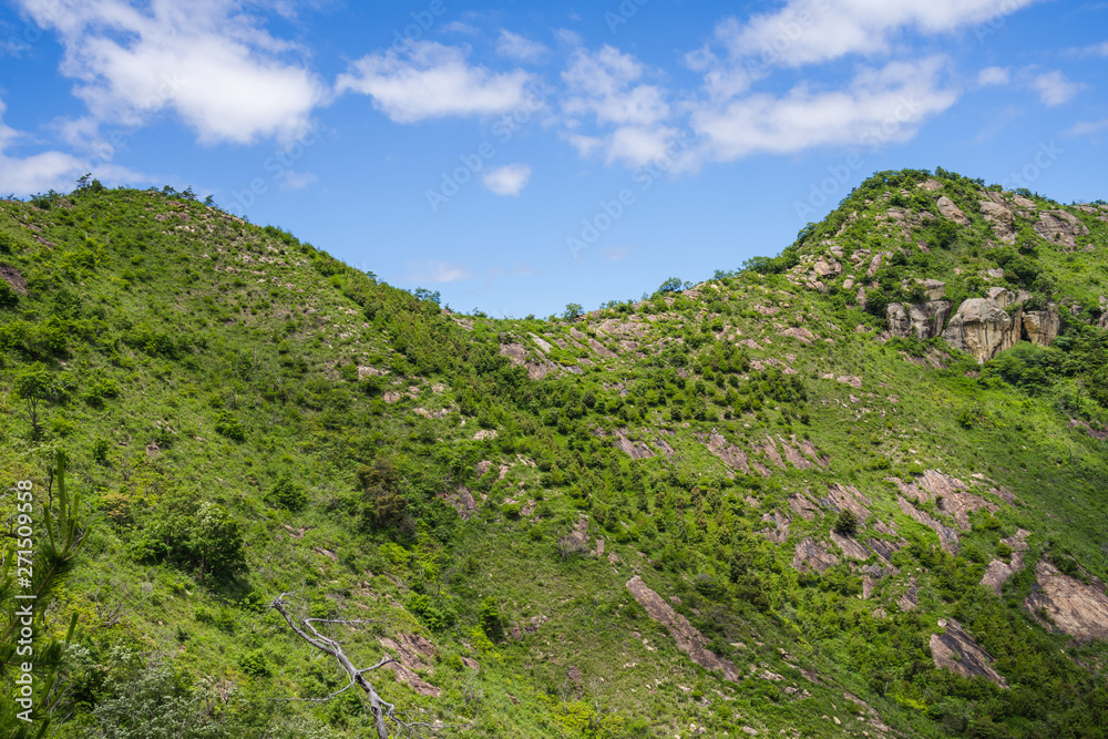 Obraz premium 高砂市の鷹ノ巣山