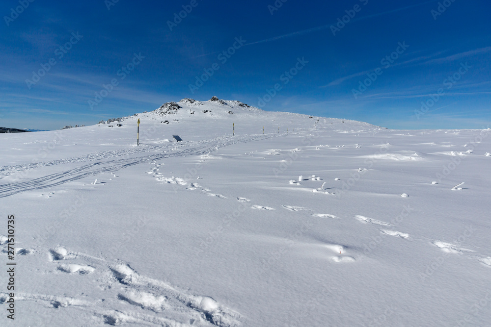 Winter landscape of Vitosha Mountain, Sofia City Region, Bulgaria