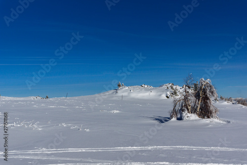Winter landscape of Vitosha Mountain, Sofia City Region, Bulgaria © Stoyan Haytov