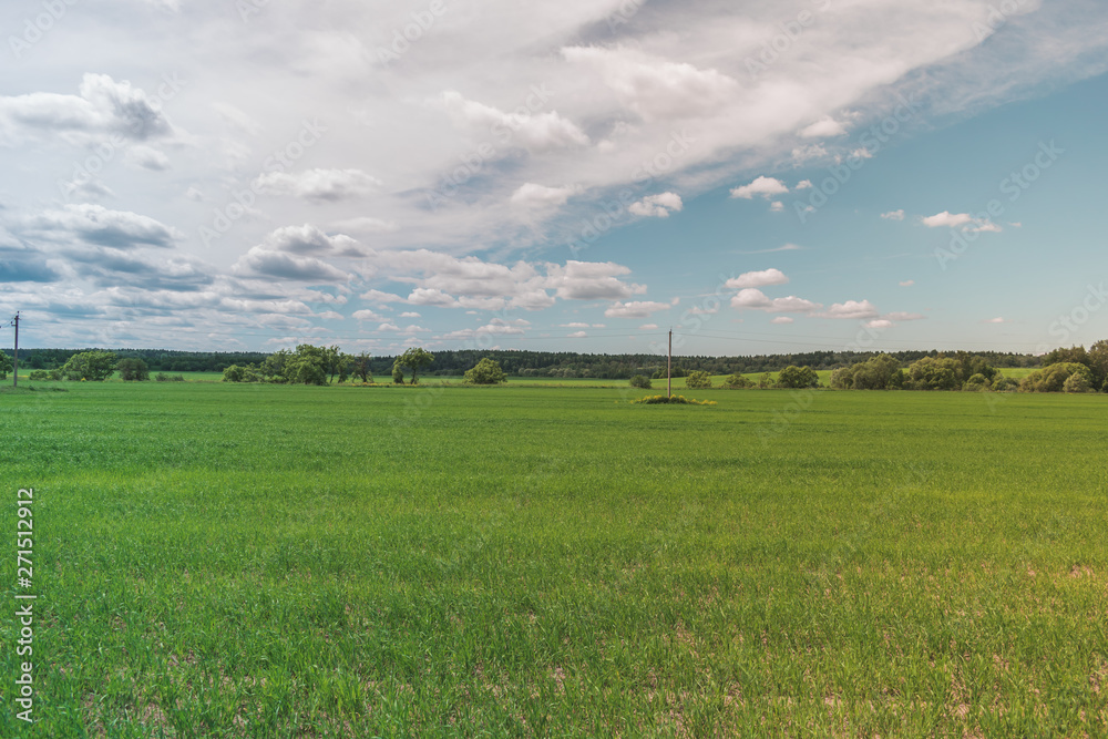 Colorful Bright Sunny Green Field Landscape With Blue Cloudy Sky, Trees And Hills Colorful Bright Sunny Green Field Landscape With Blue Cloudy Sky, Trees And Hills
