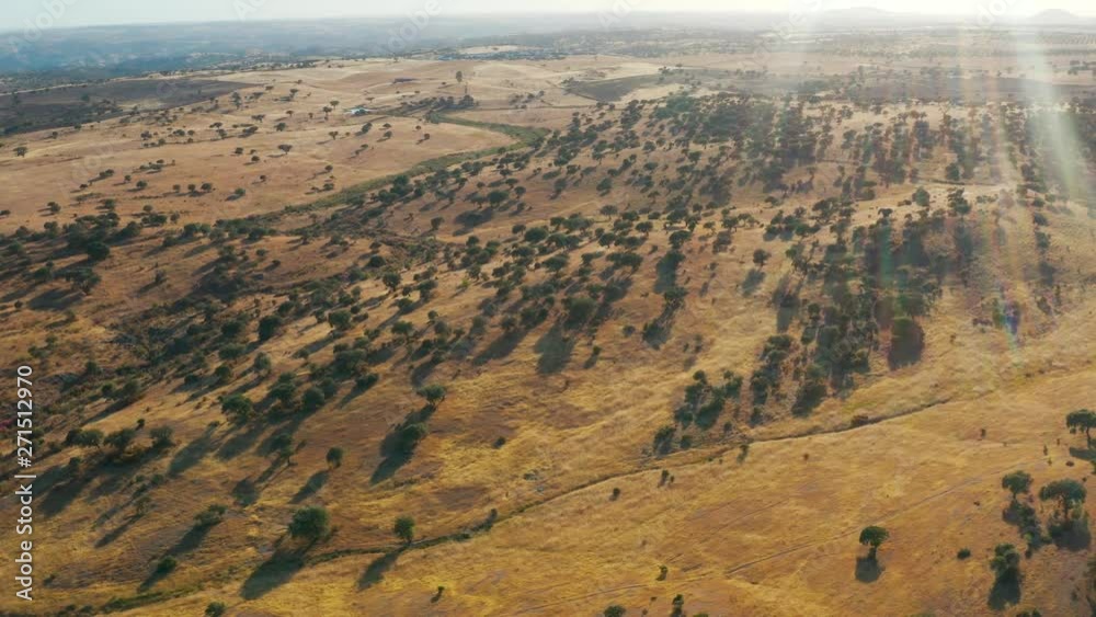 Aerial View Golden Rural Landscape Aerial View Golden Rural Landscape