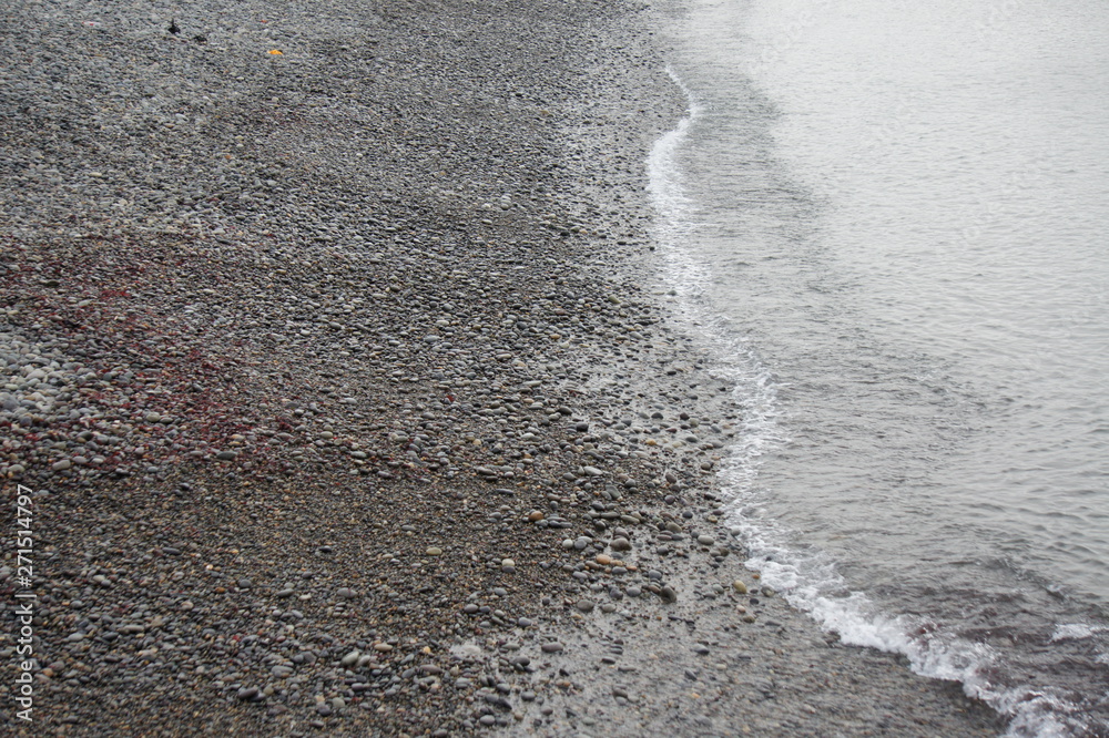 Obraz premium SONY DSC