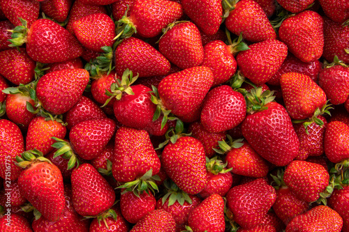 Red large ripe strawberries close-up. Harvest berries. photo