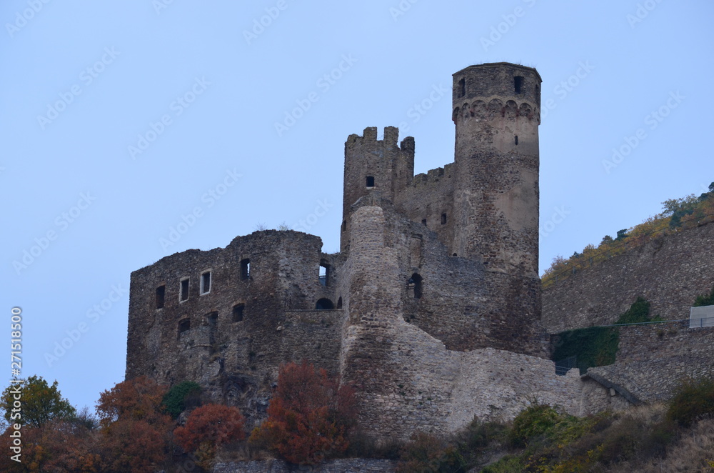 Old Castle on Rhine
