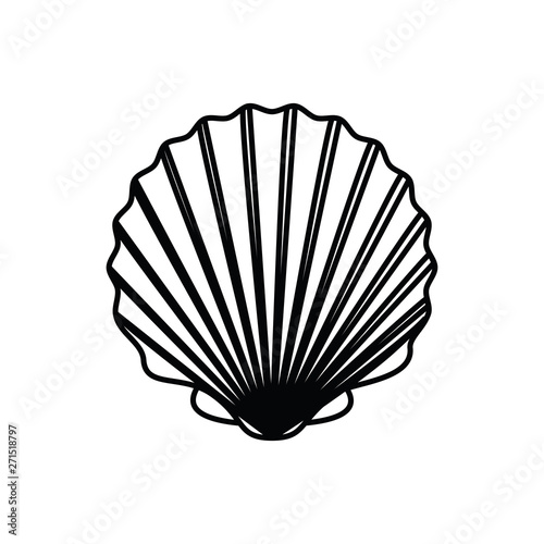 cute seashell on the sea in white background