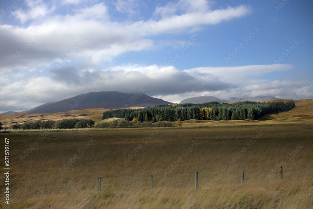 Fototapeta premium Scottish rural landscape. Lochaber area, Scotland, UK