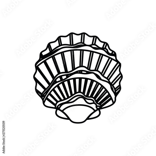 cute seashell on the sea in white background